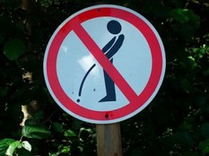 No Peeing Allowed